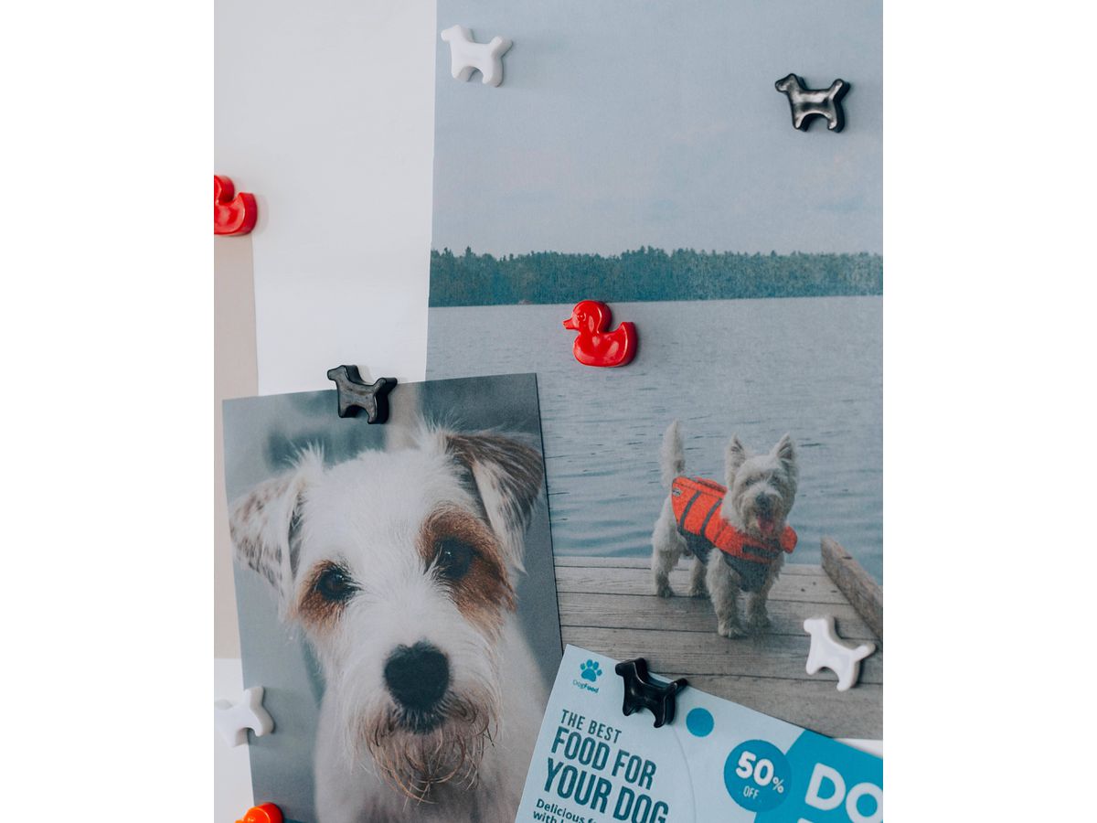 I AM CREATIVE Magnet Hund Let`s Organize 4035.53 schwarz, weiss 6 Stück (7611983215508)