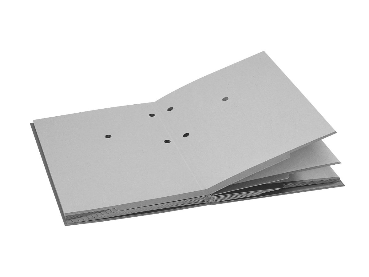 LEITZ Raccoglitore per firme A4 57000095 nero 20 compart. (4002432311477)