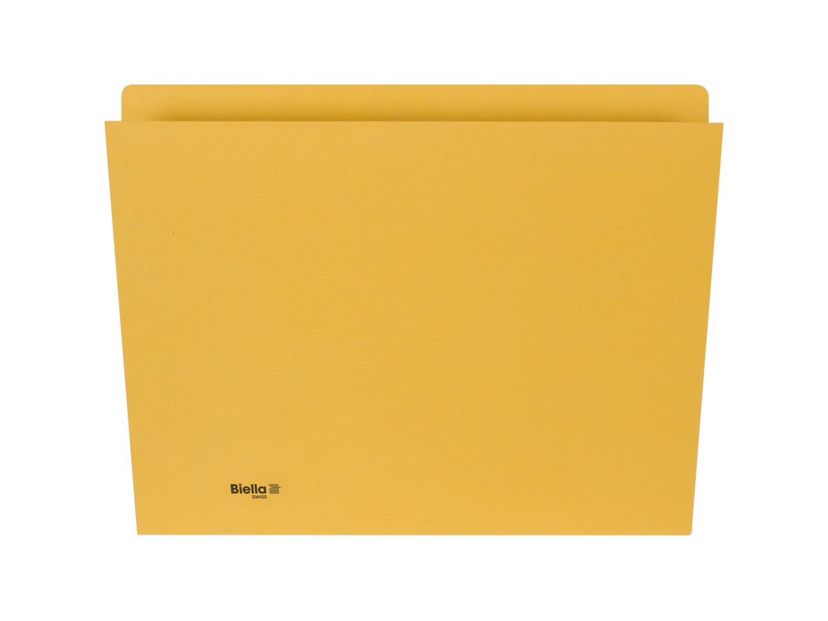BIELLA Vertikalmappe A4 25543220U gelb 320g 100 Stück (7611365217465)