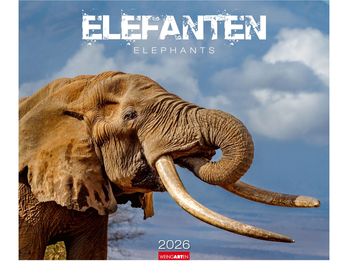 WEINGARTEN Bildkalender 2026 2960300+26 Elefanten DE 55x46cm (9783839901908)
