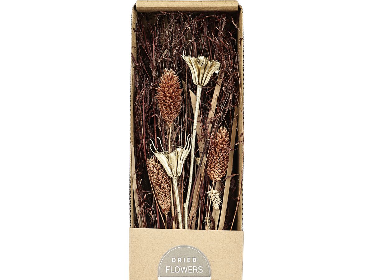 EGLO Fleur séchée 37cm 428055 or (9008606258789)