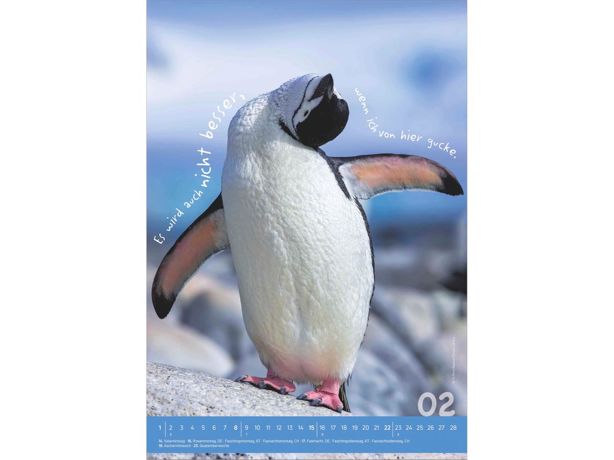 ALPHA EDITION Bildkalender 2026 160492 Tierisch cool! DE 23.7x34cm (4069095004924)