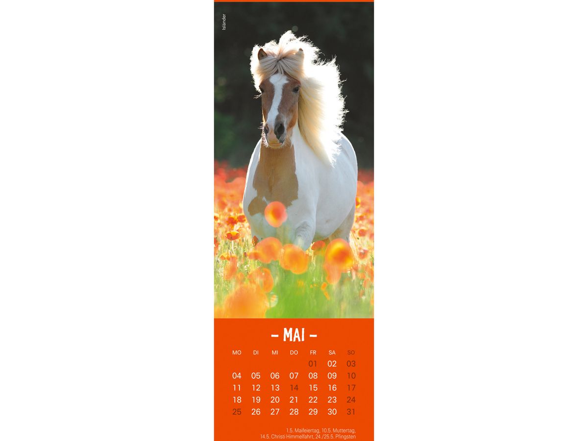 HEYE Lesezeichen-Kal. Pferde 2026 21475+26 DE 6x18cm (9783756410378)