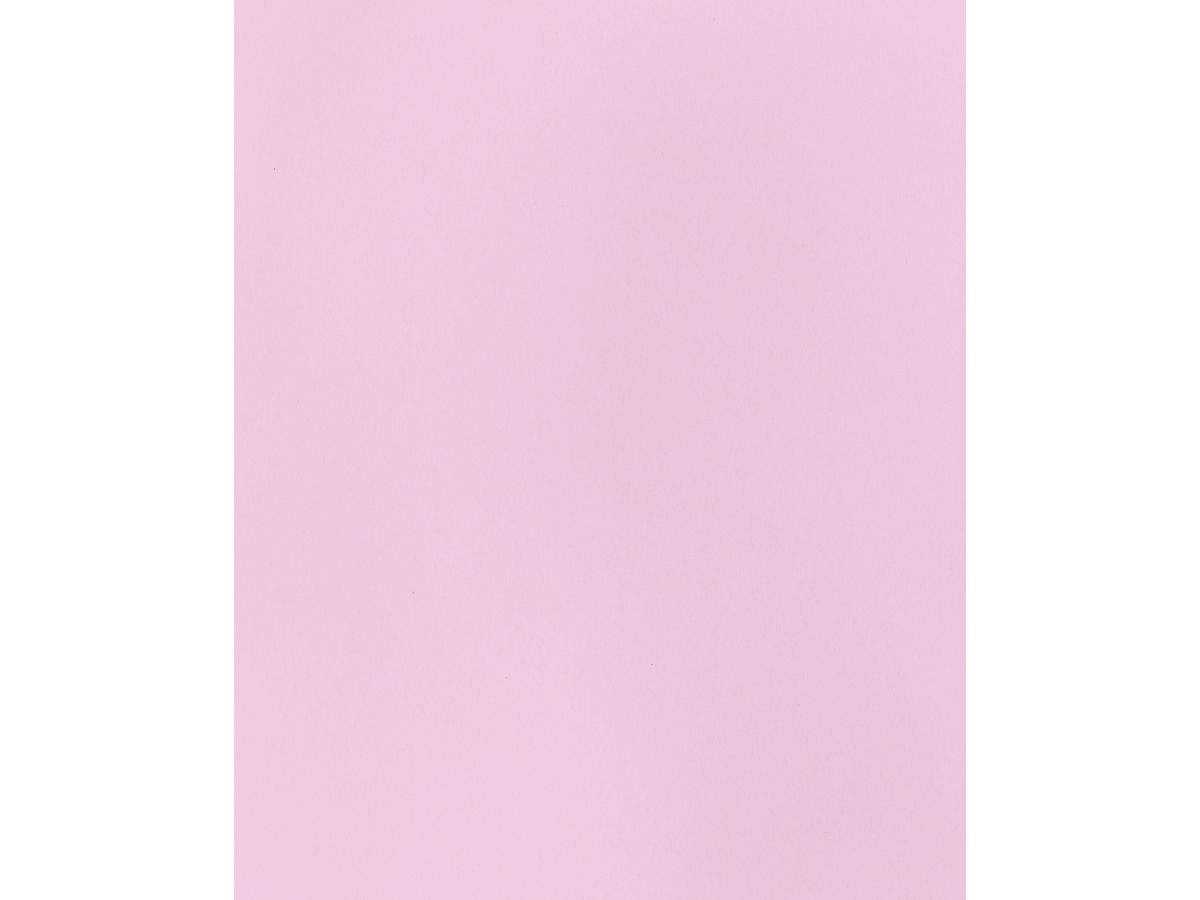 I AM CREATIVE Fotokarton 50x70cm 2902498302 270g, rosa (8714677254278)