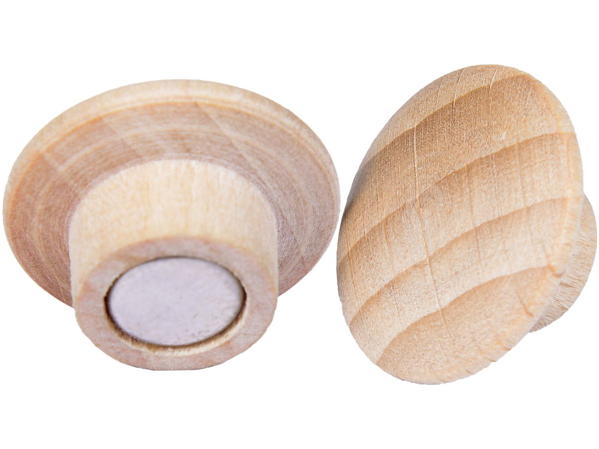 LEGAMASTER Aimant WOODEN 25mm 7-181725 Bois 5 pcs. (8713797095143)