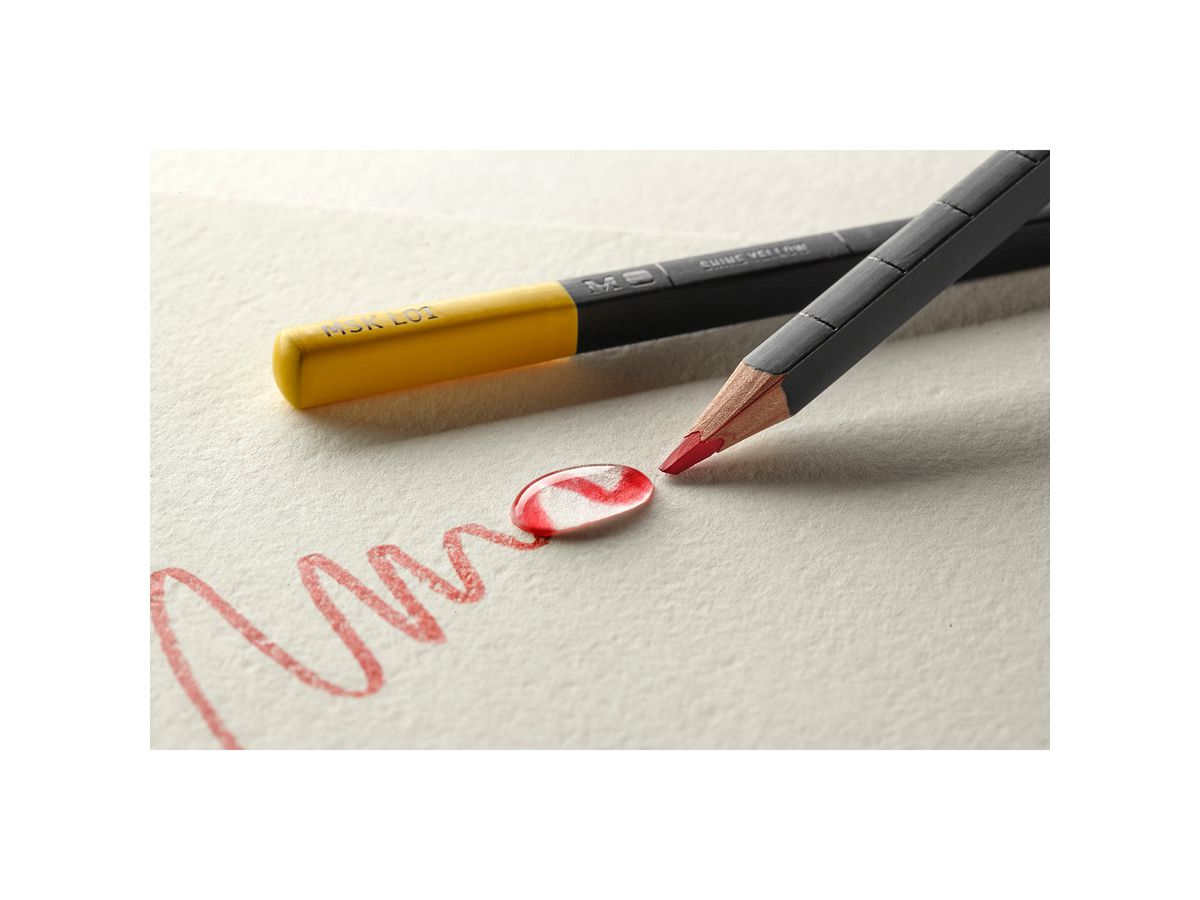 MOLESKINE Crayons aquarelle 710463 12 pcs. (8058341710463)