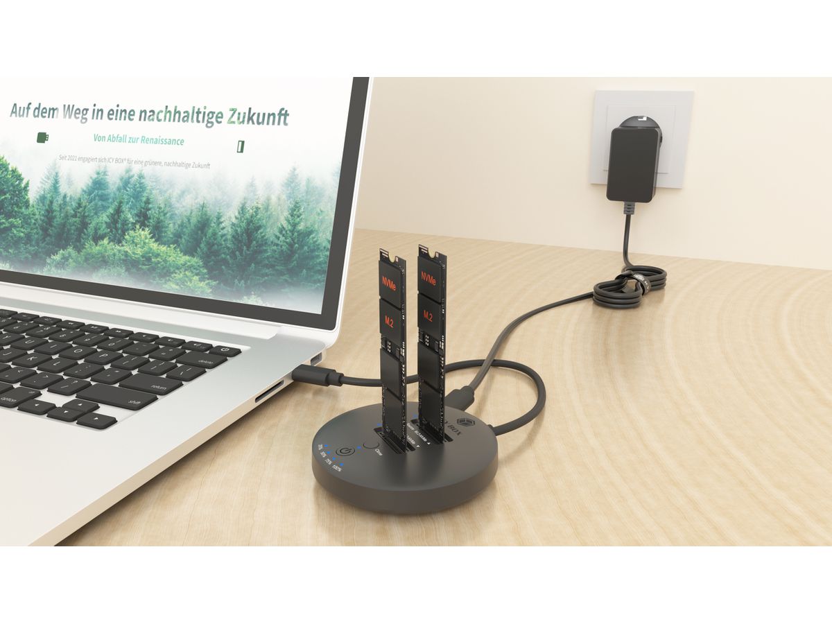 ICY BOX Clone & DockingStation for IB-1612MCL-C31 2x M.2 NVMe SSD (4250078175117)