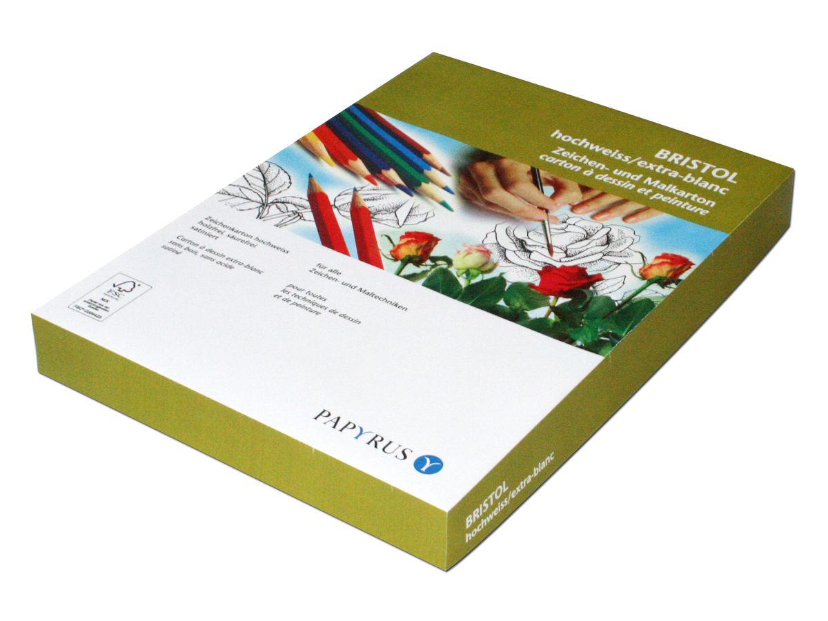 PAPYRUS Cartone Bristol 50x70cm 88249315 180g, bianco 10 fogli (7612285227497)