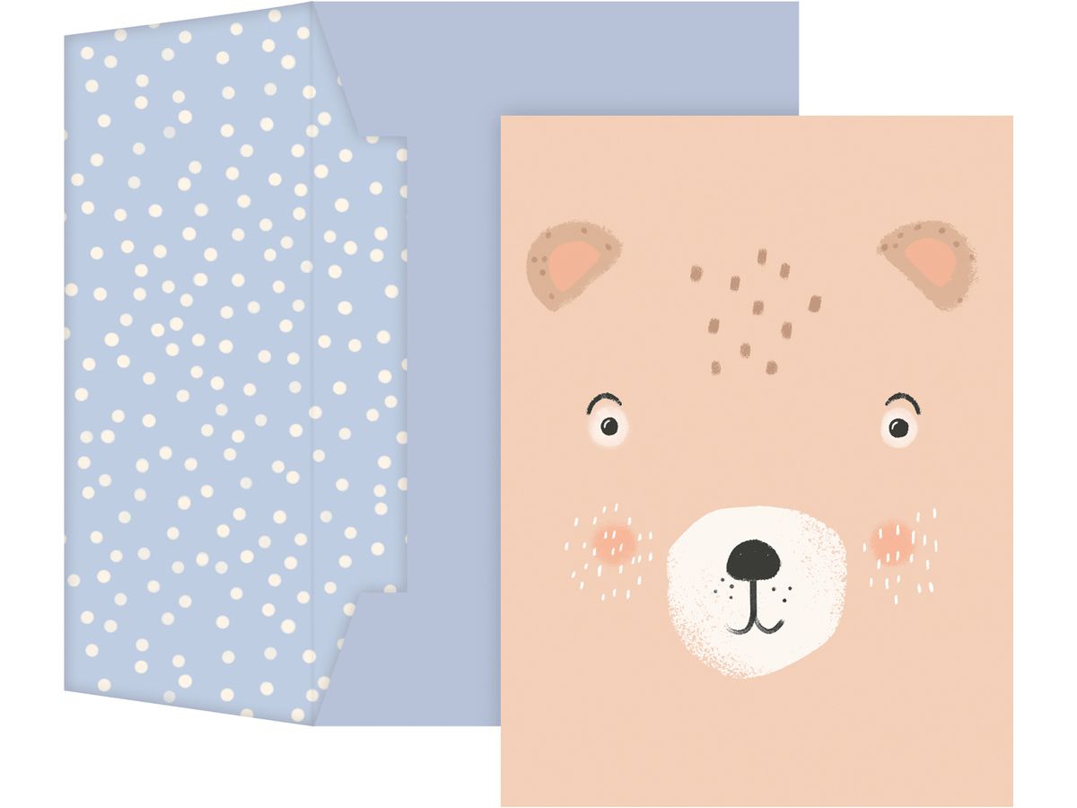 STEWO Carte cadeau Buba A6 2581518051 bleu (7630050893807)