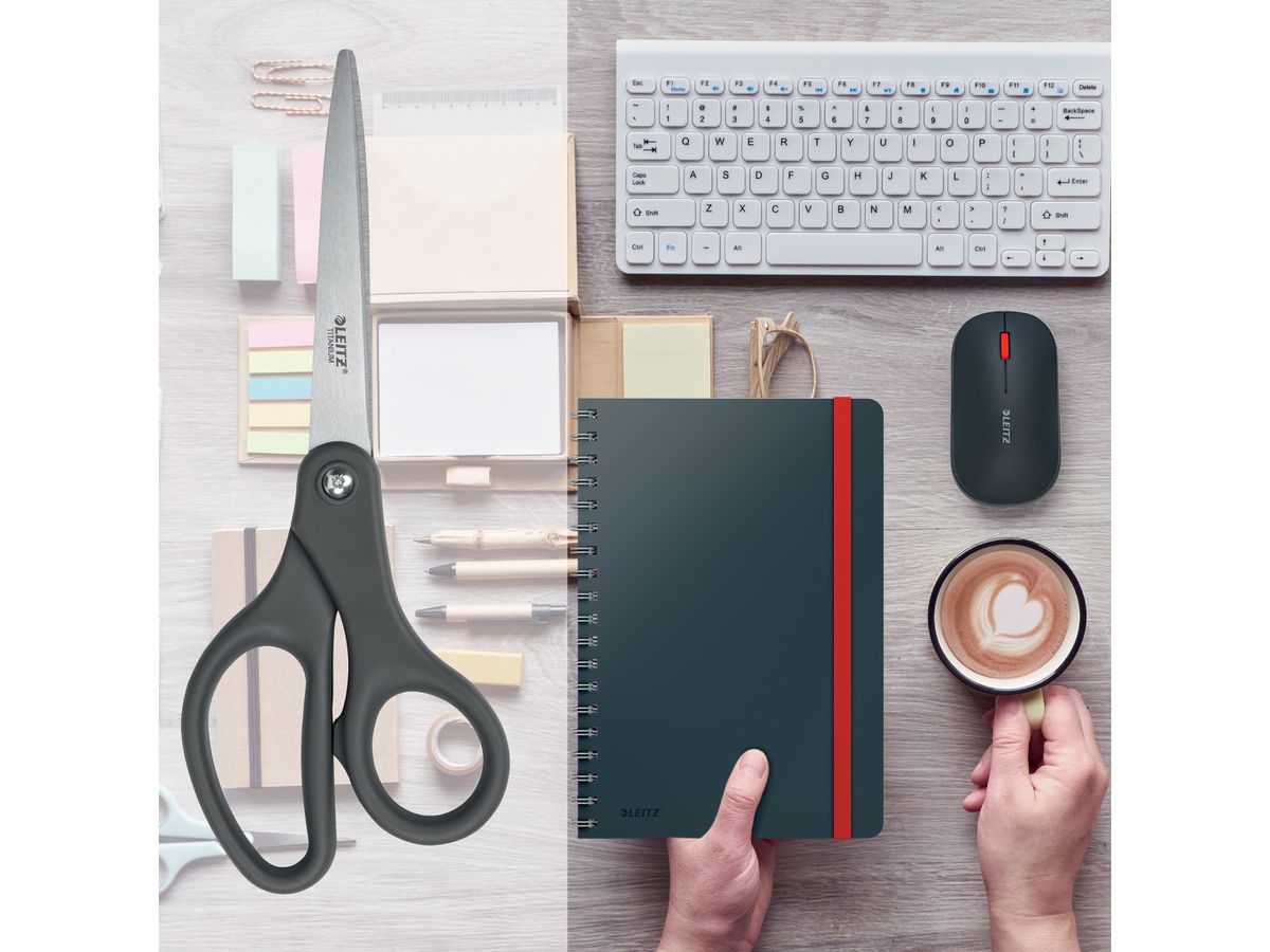 LEITZ Forbice titano 20.5cm 5422-00-89 dunkelgrau (4002432138234)