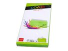 ELCO Busta Office s/finestra C5/6 74617.62 100g, verde intenso 25 pezzi (7610425328509)