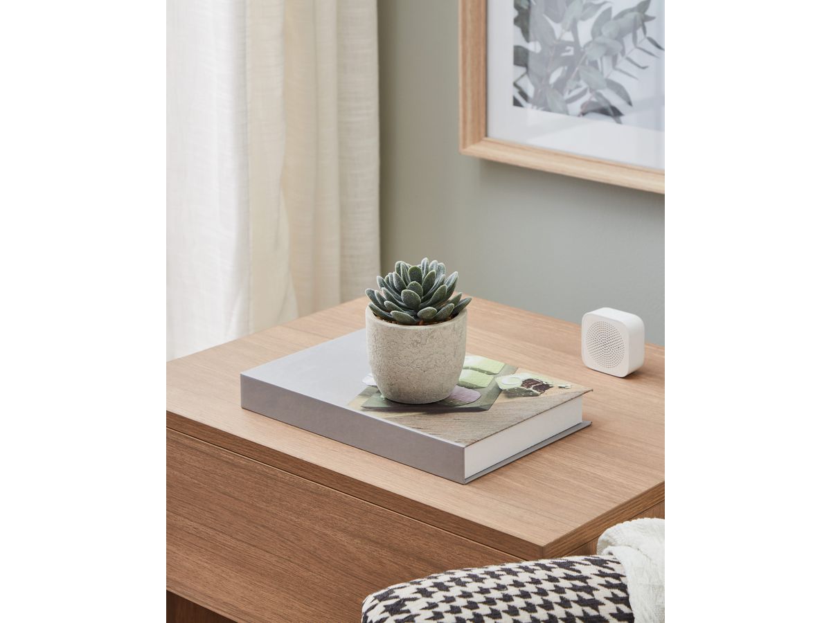 EGLO Plante artificielle 11cm 428011 vert, en pot (9008606253302)