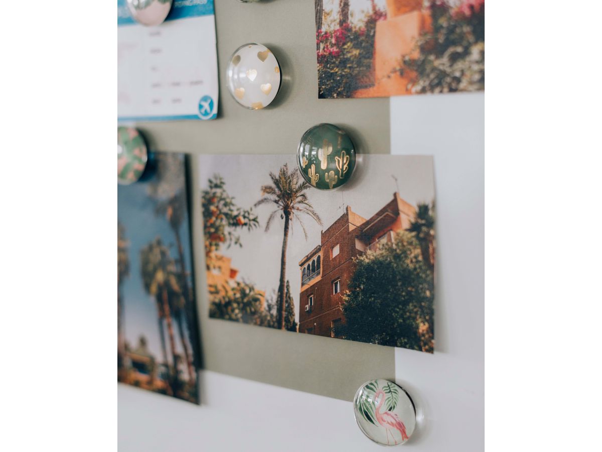 I AM CREATIVE Aimant Nature Let`s Organize 4035.61 Verre, 3x1cm 6 pièces (7611983215584)