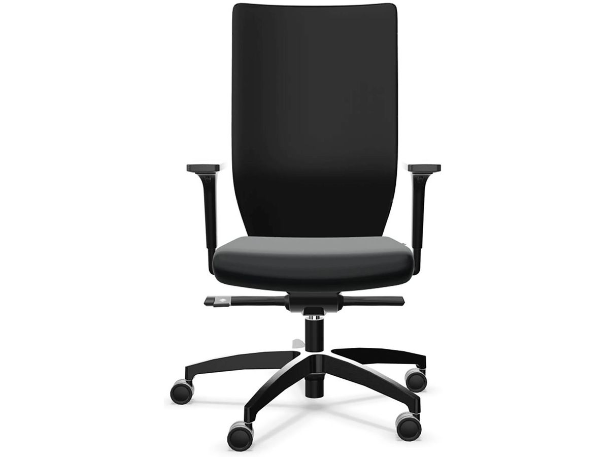 DAUPHIN Bürodrehstuhl 473.41 Stilo Mesh, schwarz (7630006769088)