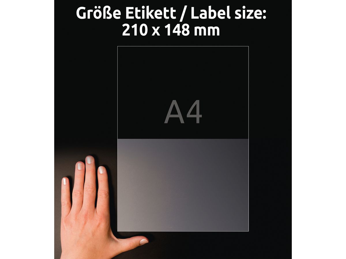 AVERY ZWECKFORM Etiketten L8012-10 Antimic. 210x148mm transp. (4004182380123)