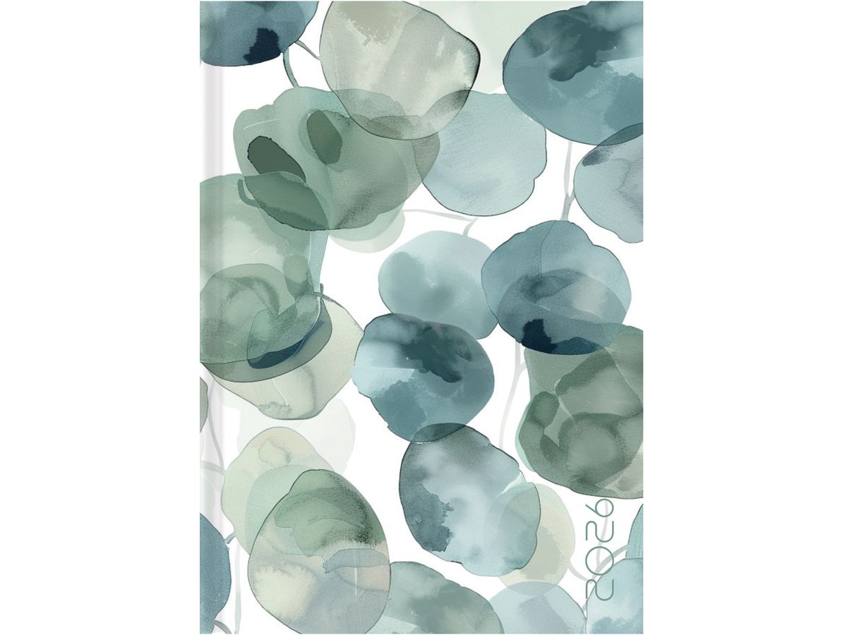 BIELLA Agenda Dispo Term 2026 808543730026U 1S/2P Eucalyptus 14.5x20.5cm (7611365524150)