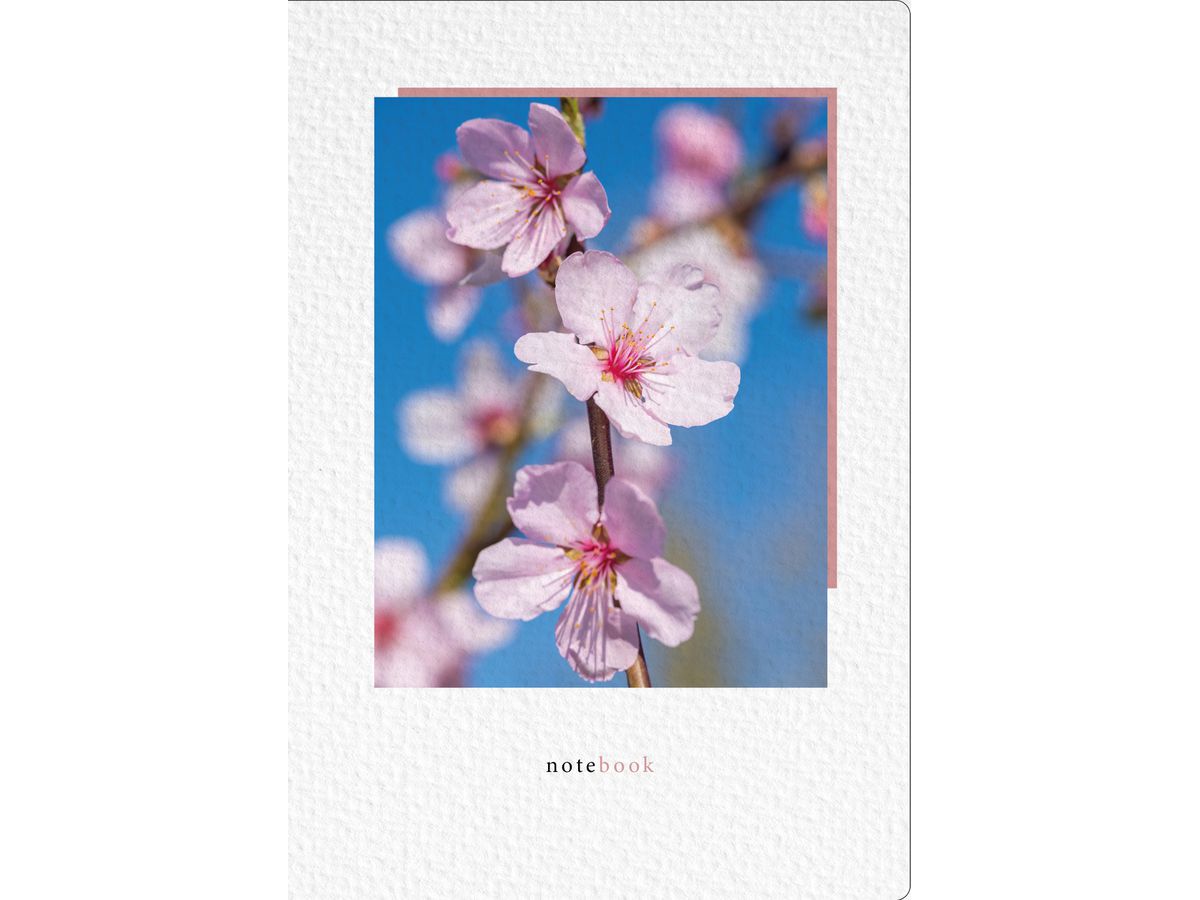 NATUR VERLAG Carnet de notes crushpaper A5 11018N amande photo, dotted (7640140110189)