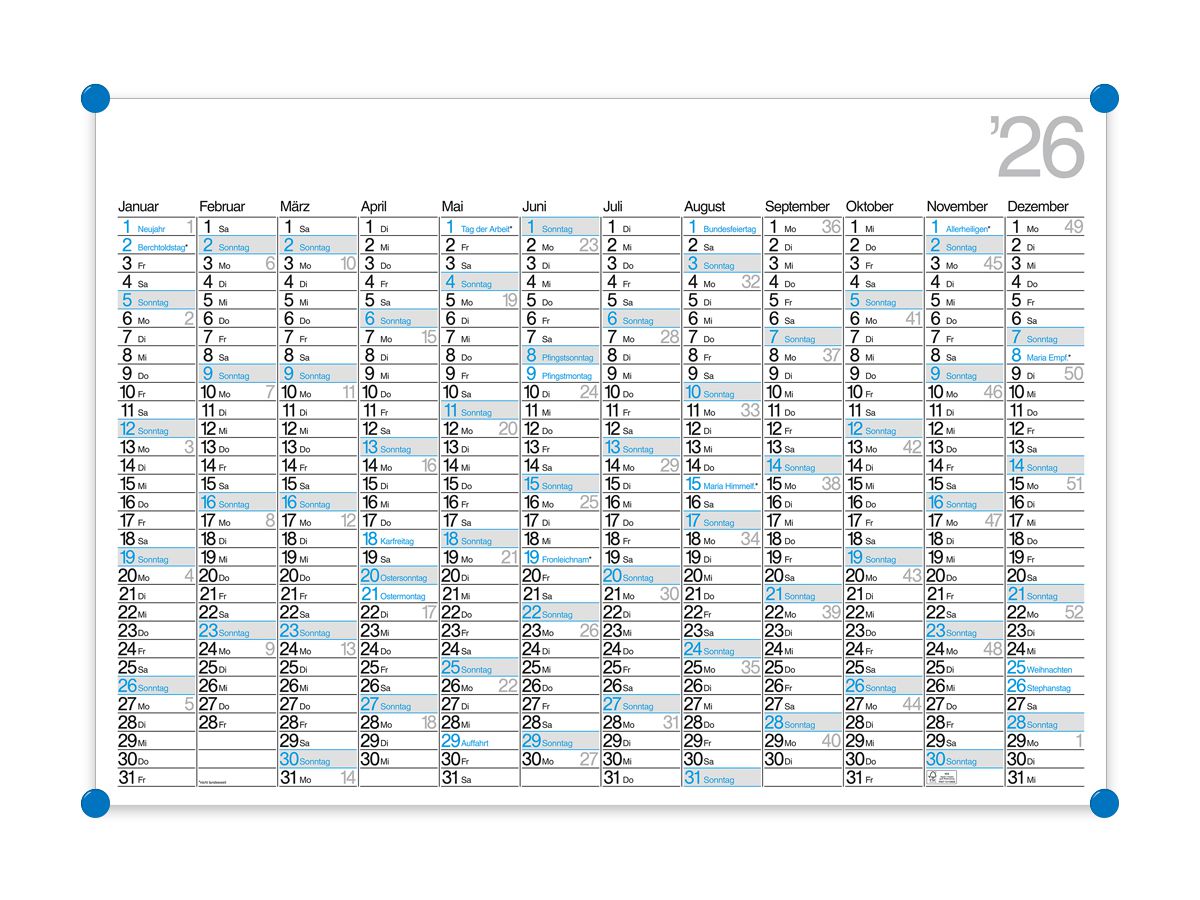 BÜHNER Planificateur annuel DE 2026 K12-CH-B-FSC 12M 98x68cm (4260256370272)