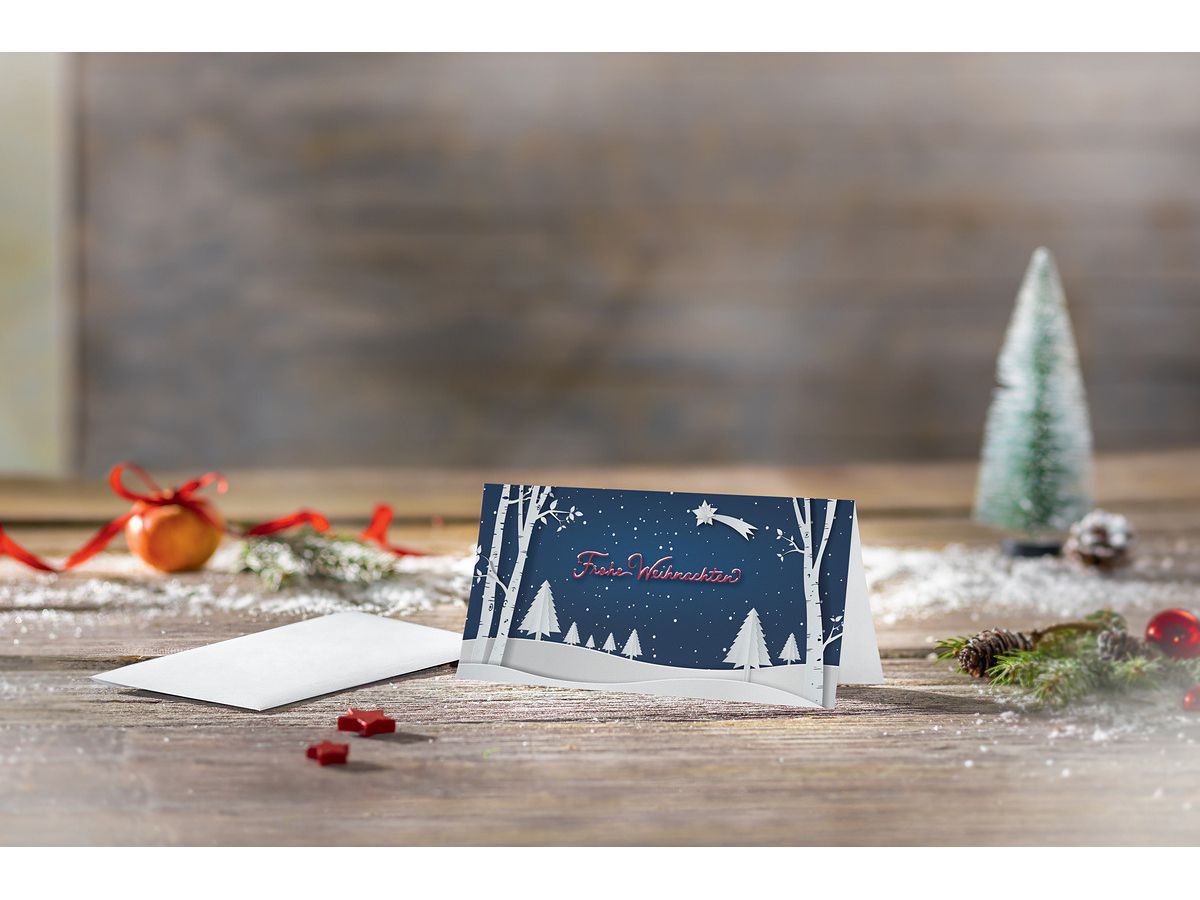 SIGEL Cartoline di Natale DL DS087 Pop-up paesaggio invern 25 pz. (4004360786426)