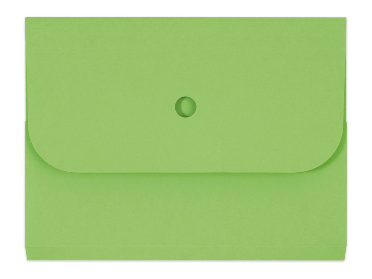 ELCO Cartella di organiz. Ordo A4 29494.62 forte, verde 25 pezzi (7610425982602)