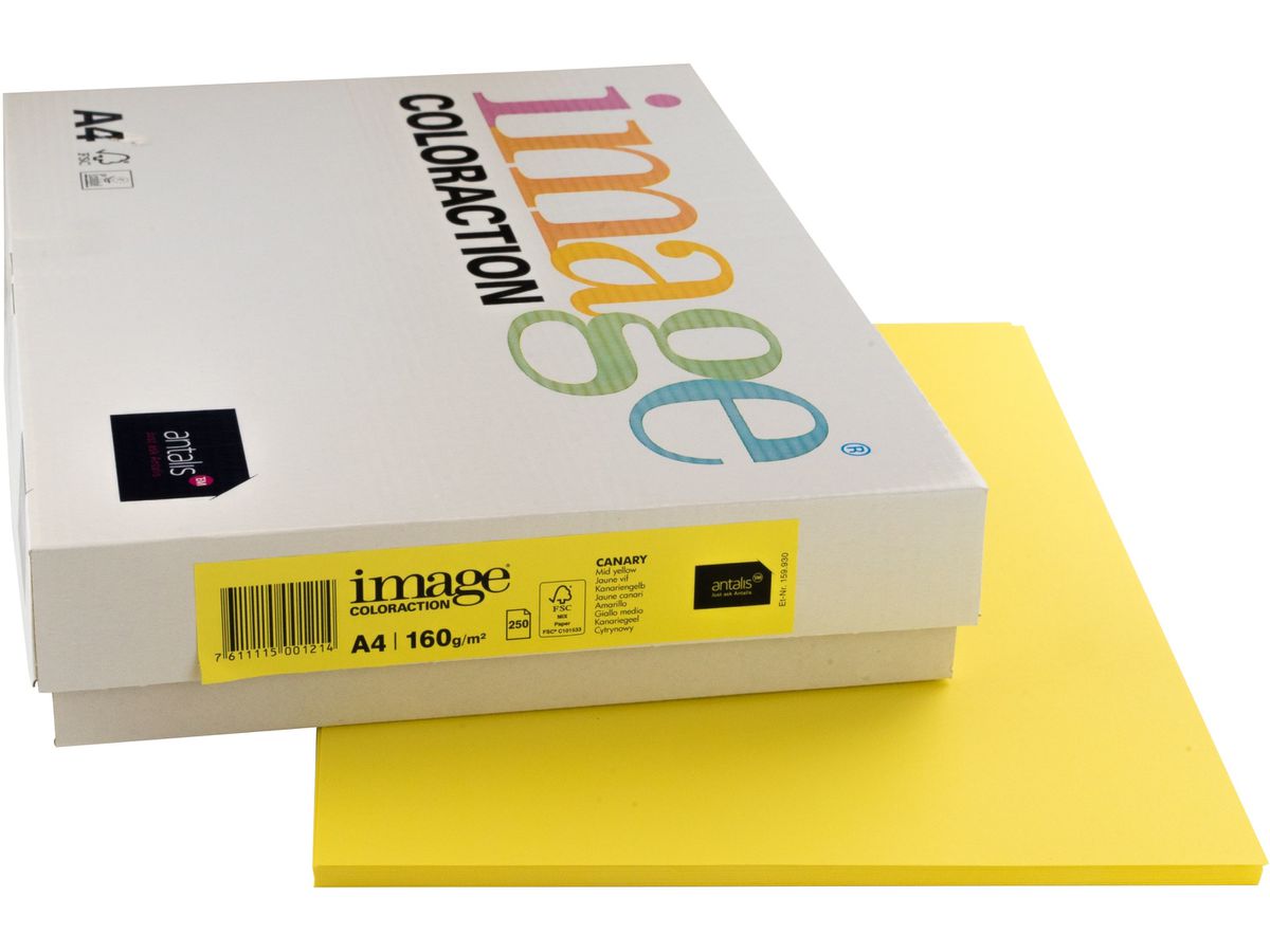 IMAGE COLORACTION Carta per copie Canary A4 266719 giallo canario, 160g 250 fogli (7611115001214)