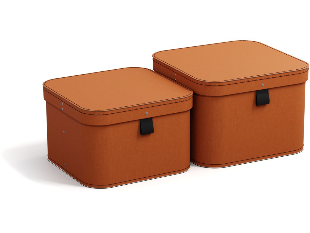 BIGSO BOX OF SWEDEN Boîte de rangement Ludvig 746252233FL0 terracotta 2er-Set (7330061084163)