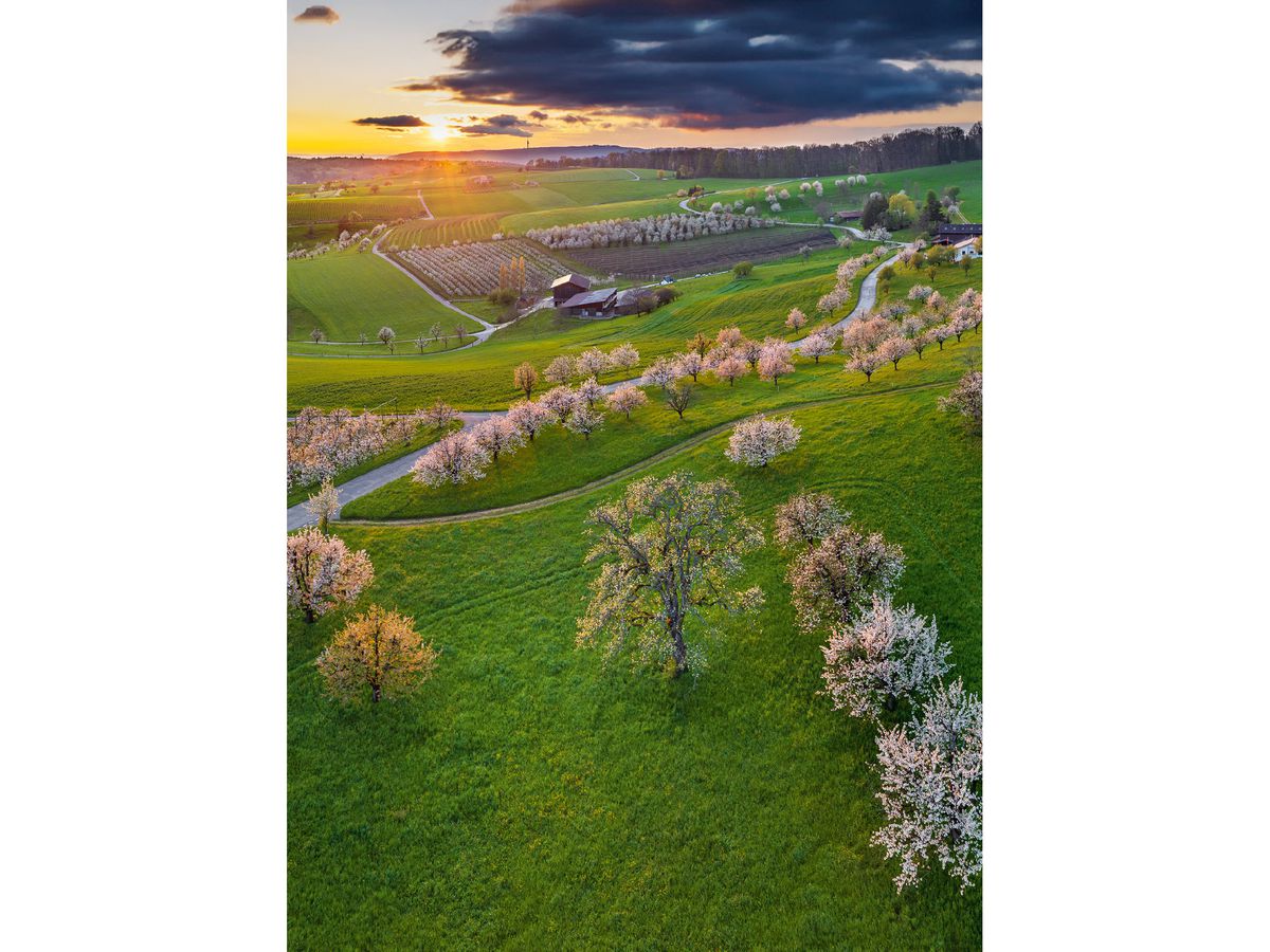 CALENDARIA Planer 2026 9783036205328 Swiss 23x31.5cm (9783036205328)