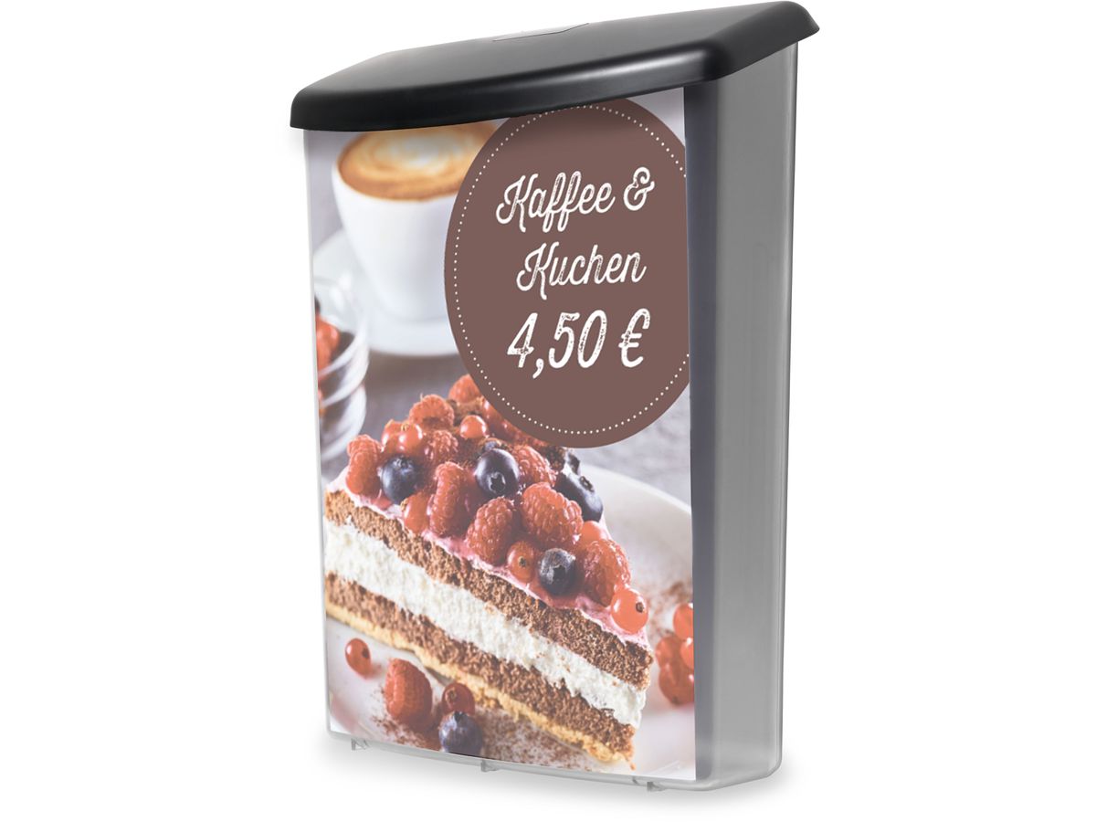 DEFLECTO Prospektbox A4 790801 für Aussenbereich (0079916790817)