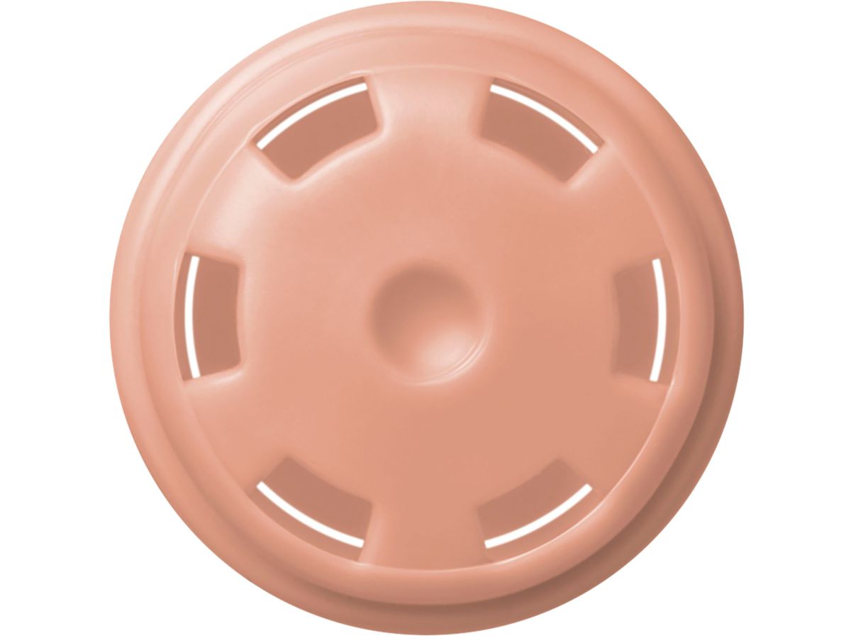 COPIC Marker Ciao 2207541 R02 - Rose Salmon (4511338007686)