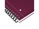 OXFORD Spiralbuch A4+ 400194459 liniert, rot 80 Blatt (3020120253558)