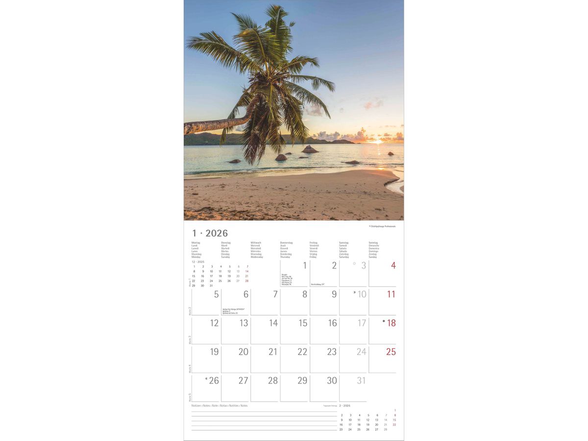 ALPHA EDITION Bildkalender 2026 160300 Summer Dreams ML 30x30cm (4069095003002)