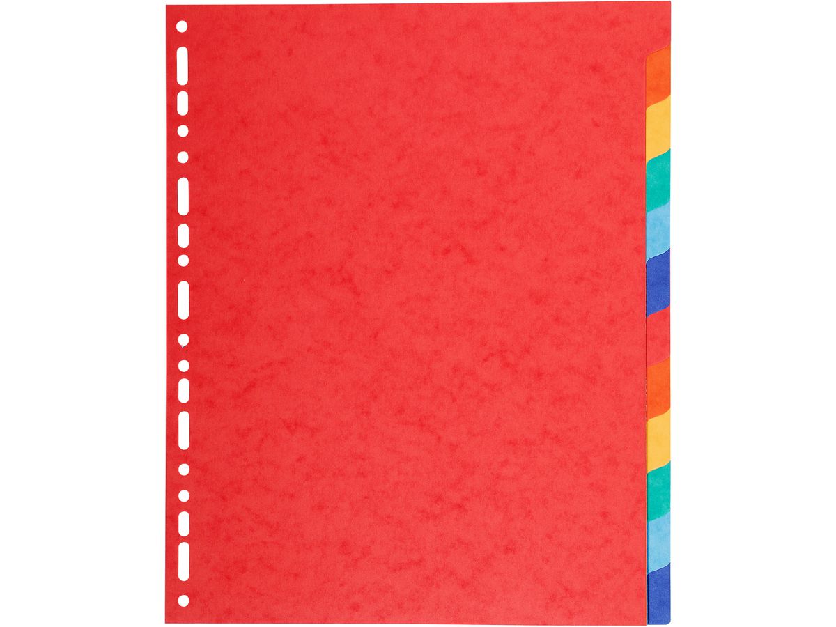 BIELLA Répertoires Top Color A4 47941200U intensive 12 pcs. (7611365473755)