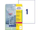 AVERY ZWECKFORM Etiketten L8011-10 Antimic. 210x297mm transp. (4004182380116)