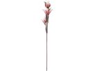 EGLO Fiore artificiale MOLAVE 428118 rosso (9008606278923)