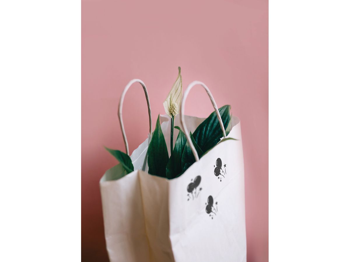 COLOP Tampon text 154849 Little NIO Handmade DE (5420078611055)