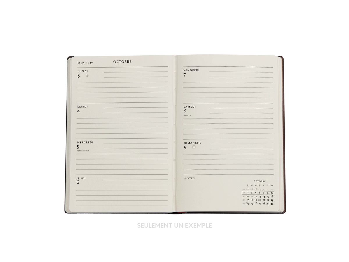 PAPERBLANKS Agenda Chroniques T Midi 25/26 DF0873-7 1S/2P 13M FR HOR HC 13x18cm (9780349708737)