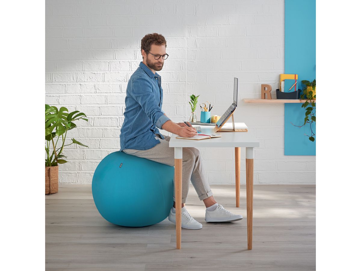 LEITZ Sitzball Cosy 5279-00-61 blau Ø65cm 1 Stk (4002432129539)