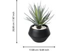 EGLO Plante artificielle 20cm 428496 vert, en pot (9008606367955)