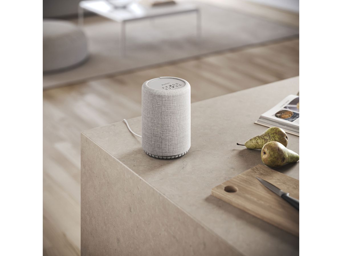 AUDIO PRO Speaker A10 MkII W 15381 Light Grey (7330117153812)