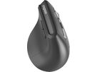 RAPOO EV310M Ergo. Wirel. Mouse 13049 Multi-Mode, Grey (6940056130495)