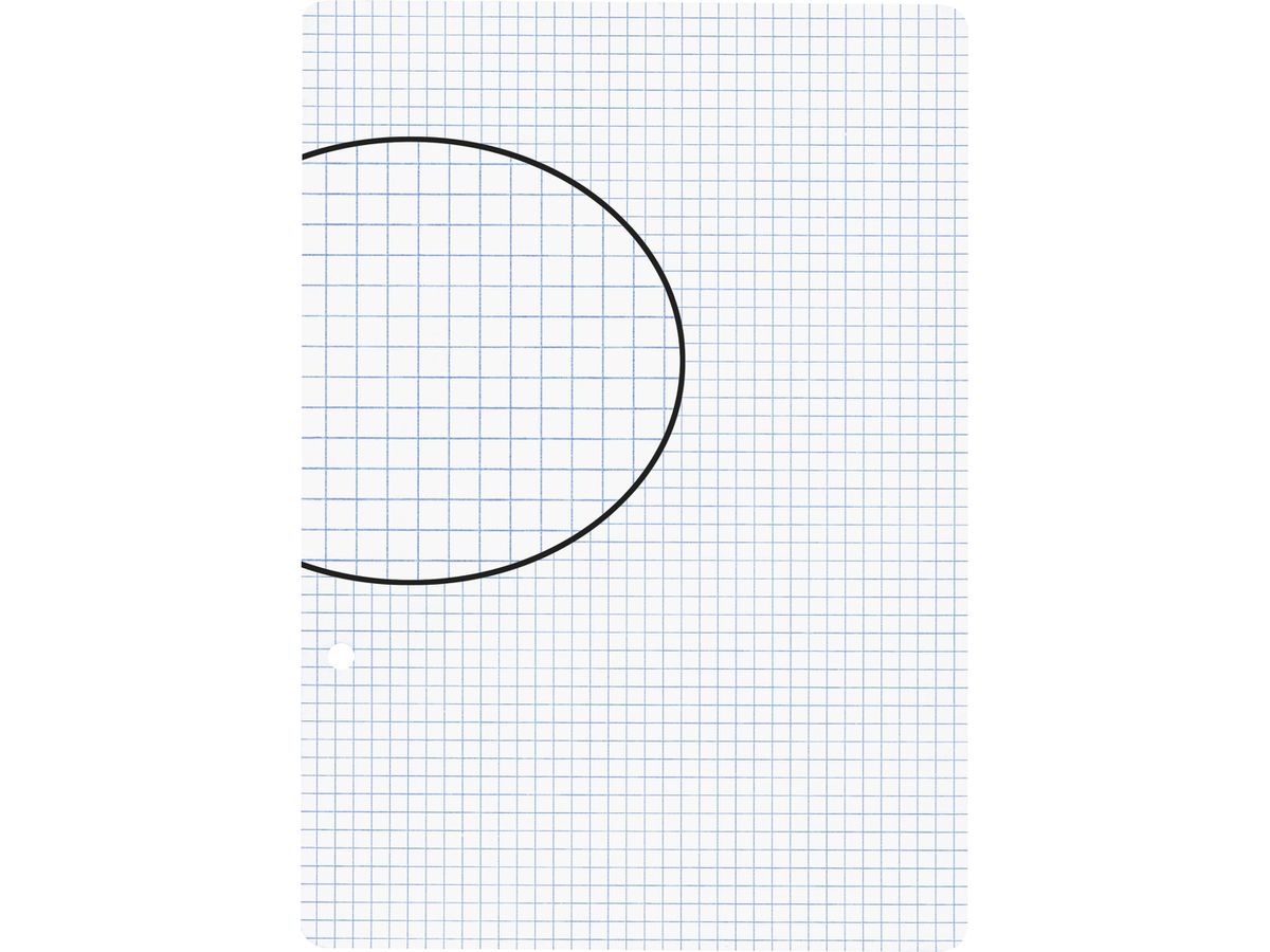 BIELLA Fogli per quaderni A5 45052400U bianco,quad.4mm,2 fo. 100 fg. (7611365230266)