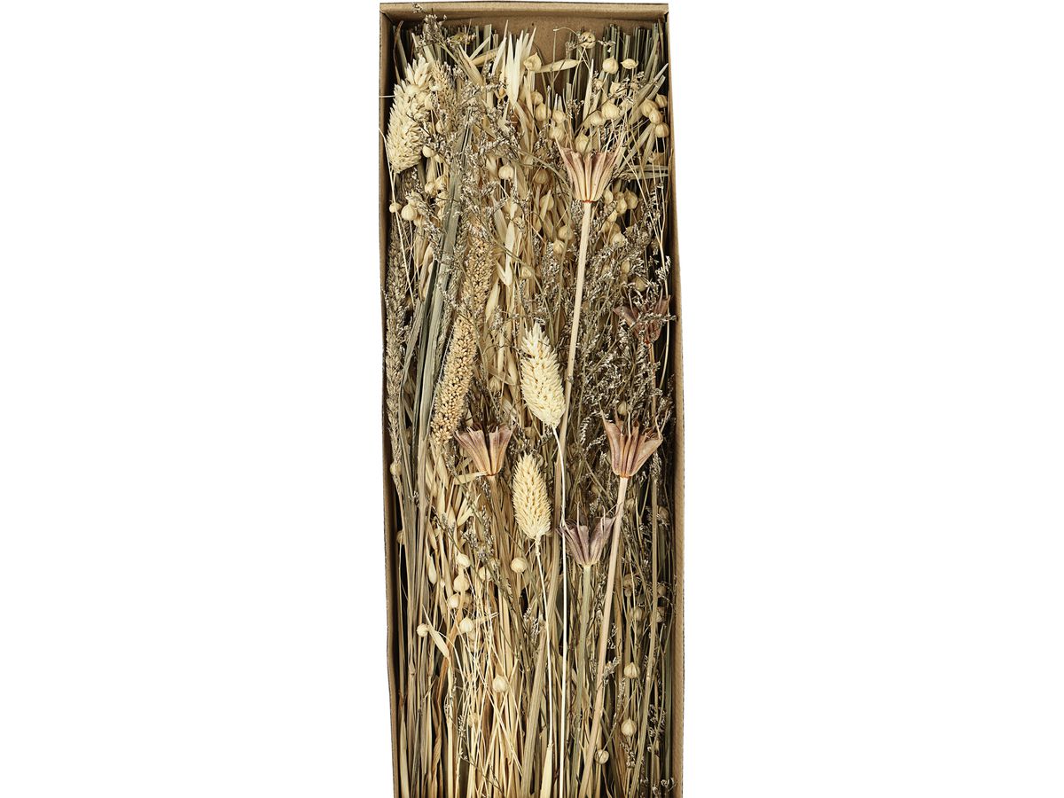 EGLO Fleur séchée 60cm 428038 beige (9008606258635)