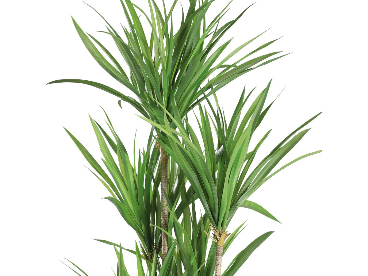 EGLO Plante artificielle 120cm 428018 vert, en pot (9008606253371)