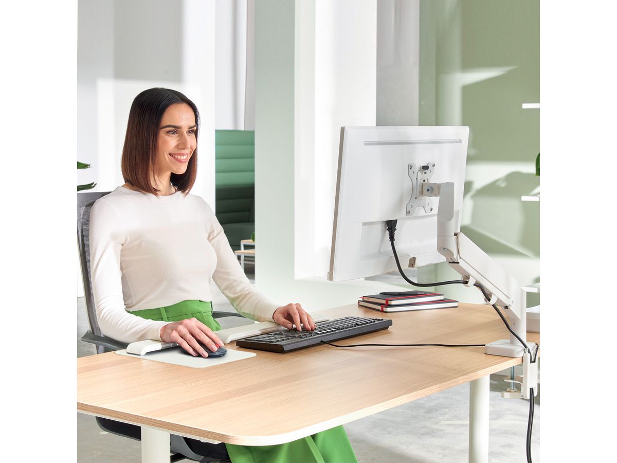 LEITZ Braccio porta monitor Ergo 6489-00-85 Grigio, singolo (4002432134656)