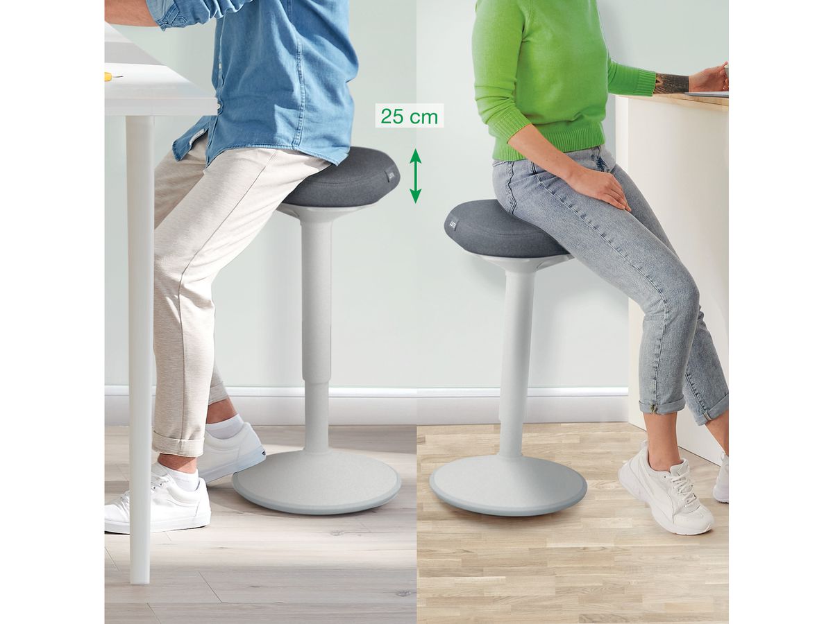 LEITZ Stehhocker Ergo Active 6545-00-85 hellgrau (4002432138425)