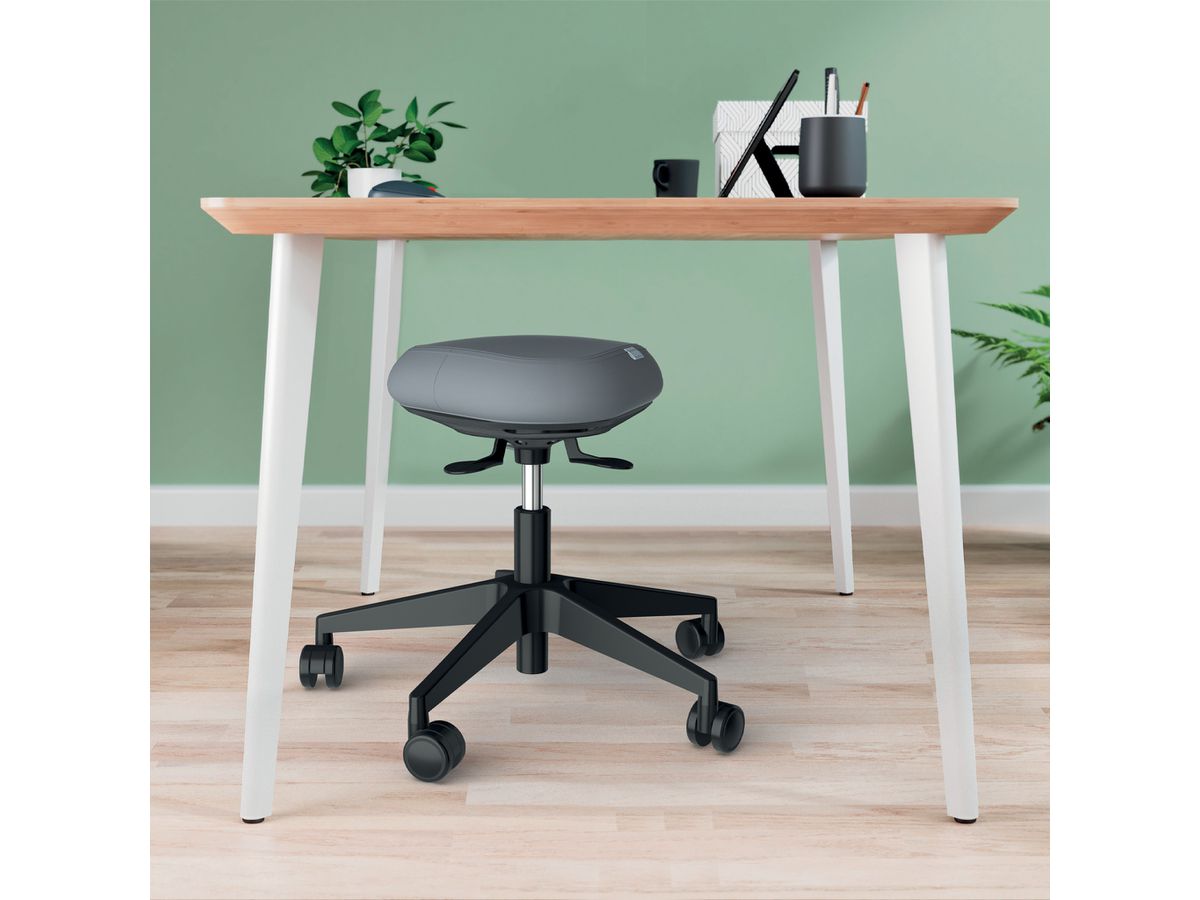 LEITZ Tabouret Ergo Active 6577-00-95 Roulettes, équilibre, noir (4002432136094)