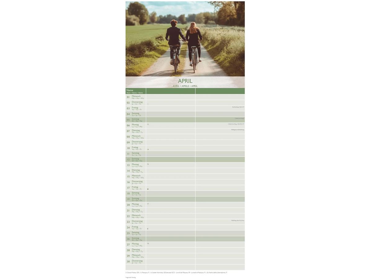 ALPHA EDITION Familienplaner 2026 160329 Glücksmomente ML 19.5x45cm (4069095003293)