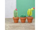 HARDICRAFT Set per uncinetto HC-40MB013 Cactus (8719244510009)