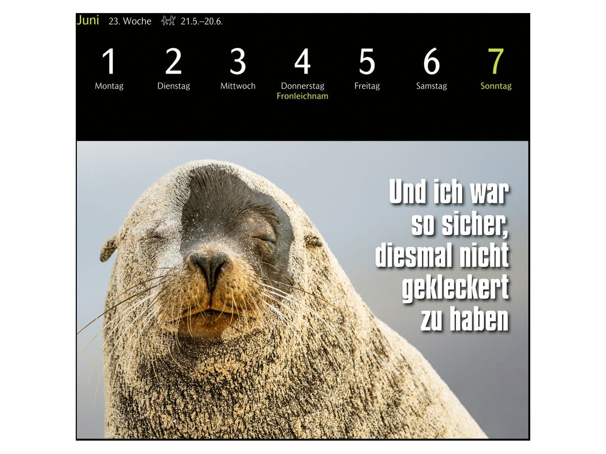 HARENBERG Postkartenkalender 2026 3310183+26 Animal Memes 16x17.5cm (9783840037467)