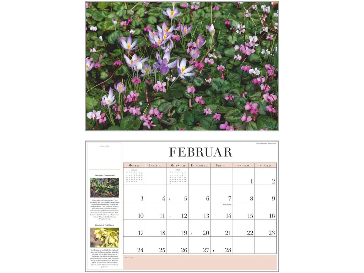 DUMONT Bildkalender 2026 260371 Garten-Kalender DE 42x29cm (4069095003712)